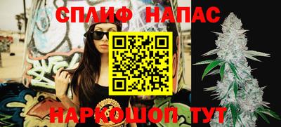 гидропоника Берёзовский