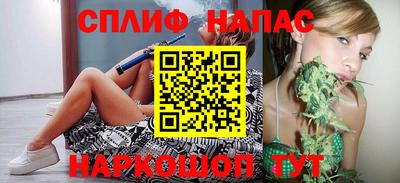 мдпв Бийск
