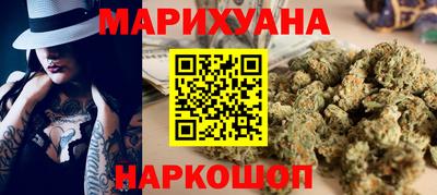 мдпв Бийск