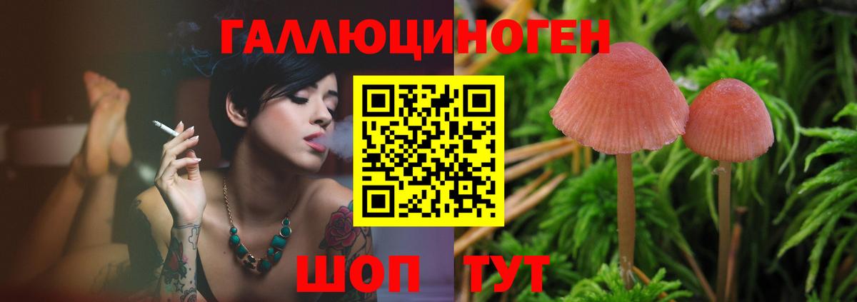 Белгород  Псилоцибиновые грибы Psilocybe  Вход с VPN  Галлюциногенные грибы MAGIC MUSHROOMS 